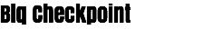 Blq Checkpoint